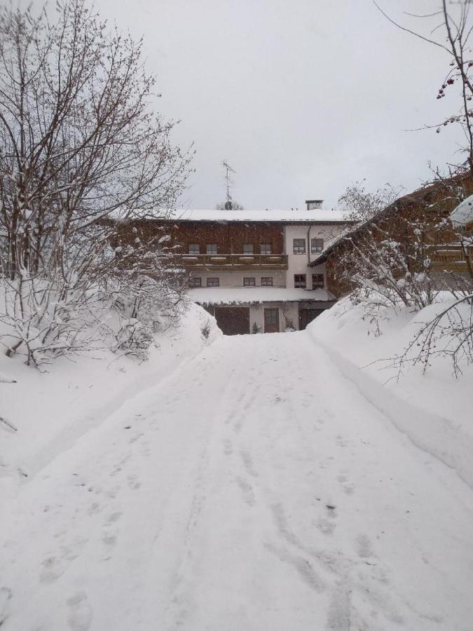 Pension Egner-Riess Arnbruck Exteriér fotografie